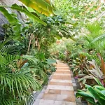 Beautiful Studio With Private Cenote & Ammenities